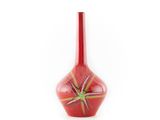 vase en verre rouge avec une tige verte sur fond blanc