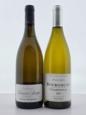 deux bouteilles de vin posées l'une à côté de l'autre sur une table