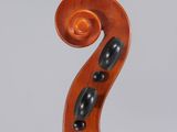 a close up of the back of a violin with a fiddle in the foreground