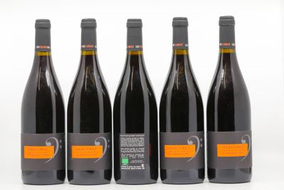 six bouteilles de vin sont alignées sur une surface blanche