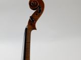 a close up of a violin on a white background