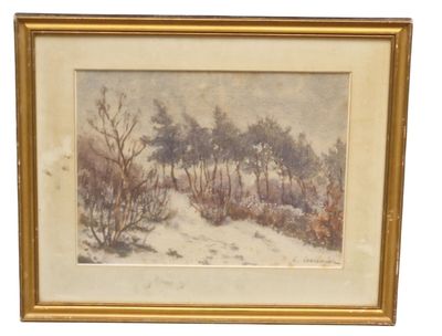 une vieille photo représentant un paysage enneigé avec des arbres et des buissons