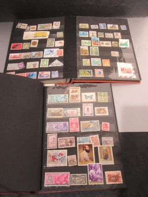 Deux Albums DE Timbres France ET Etranger - Neufs ET O…