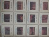 a lot of polaroids on the wall of a room