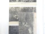 two old photos of a man and a dog in a field