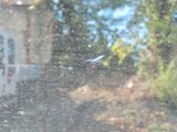 a bird that is flying in the air through a window