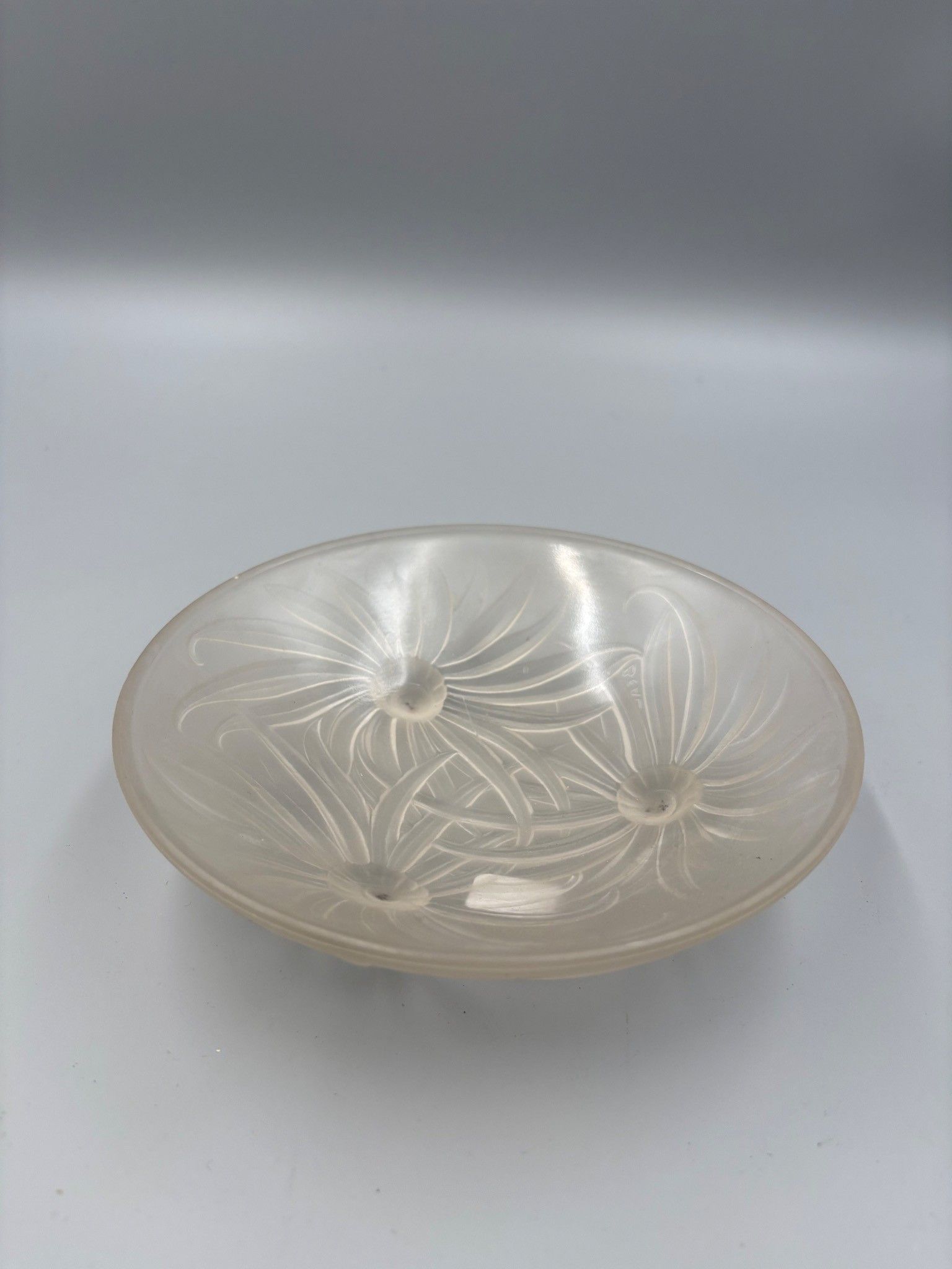 Objets d'art & Curiosités