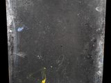 a picture of a dirty window with a yellow flower in it