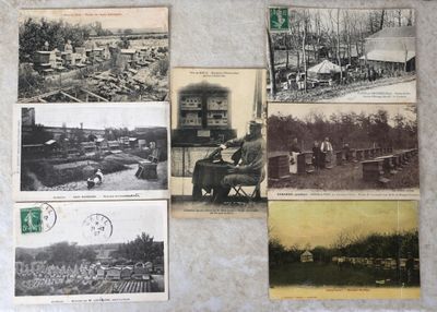 de nombreuses vieilles photos de personnes et d'animaux accrochées au mur