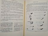 an open book with a drawing of a plane on it