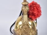 an image of a gold helmet with a red feather on top