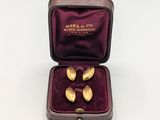 two gold plated spoons in a velvet case on a white surface