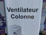 Photo 2/9 du lot