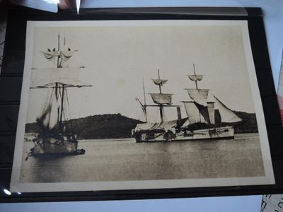 Nouvelle Caledonie - Photo (130/180) Sepia Campagne Cro…