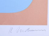 an image of a painting with a blue circle on a pink background