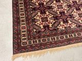 an image of a rug on the floor with a cat laying on it