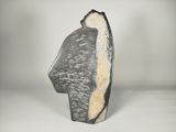 sculpture grise et blanche représentant une tête d'homme sur une surface blanche