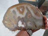 a picture of a person holding a piece of agate
