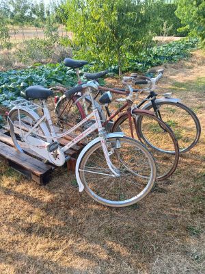many bikes that are parked on a wooden bench