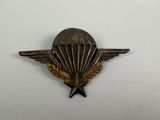 an image of a badge with a parachut on it