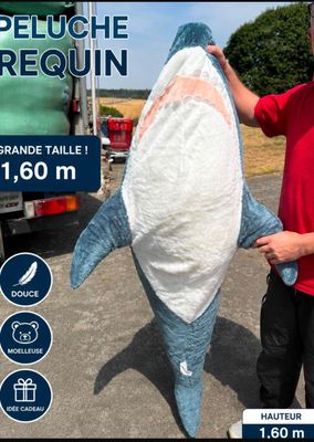 un homme debout à côté d'un grand requin empaillé