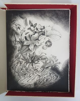 dessin au crayon d'une image en noir et blanc représentant des fleurs et des papillons