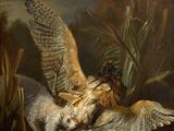 painting of two birds fighting over a dead bird in a pond