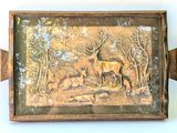 a picture of a picture of a deer in the woods