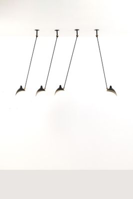 quatre oiseaux qui volent ensemble dans le ciel