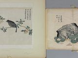 an old book with a picture of a bird sitting on a tree branch
