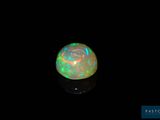 an oplite in the dark with a black background