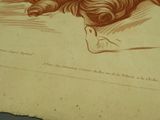 Photo 10/10 du lot