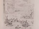 a picture of a drawing of rabbits in a field