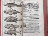 an open book with a picture of fish on it