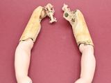 pair of fake hand made animal claws on a red surface
