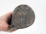 a person holding a rock in their hand on a white background