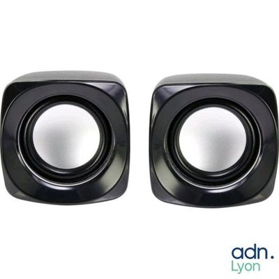 pair of black speakers on a white background with a reflection of the speaker