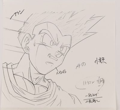 d'après l'œuvre de Akira Toriyama (鳥山 明) - Dragon Ball GT (ド…