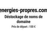 Photo 1/1 du lot