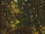 a painting of a river in a wooded area surrounded by trees