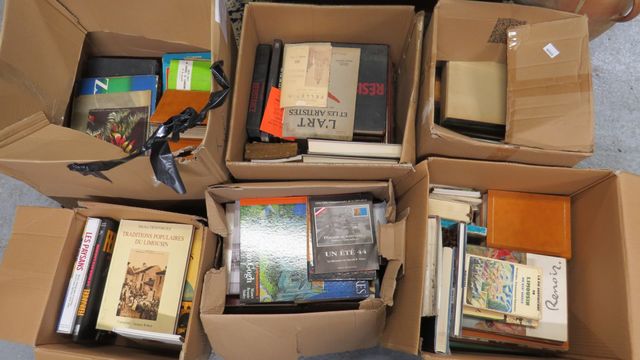 Six cartons de livres : arts et peintres, guerres, régionalistes,...