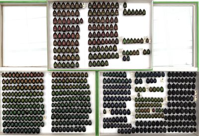 many bottles of wine on display in the window