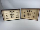 two framed insect specimens of various types and sizes in a display case