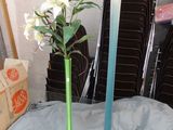 un vase contenant des fleurs, posé sur une table