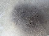 an image of a close up of a metal plate with a stamp on it