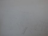 dessin au crayon représentant un paysage avec des arbres et des buissons au premier plan