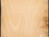a close up of a piece of wood with a yellow line on it