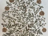 un dessin représentant un arbre orné de feuilles et de fleurs