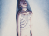 Photo 13/13 du lot