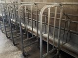 many beds lined up in a row in a building